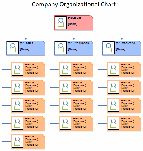 An Organisational Chart